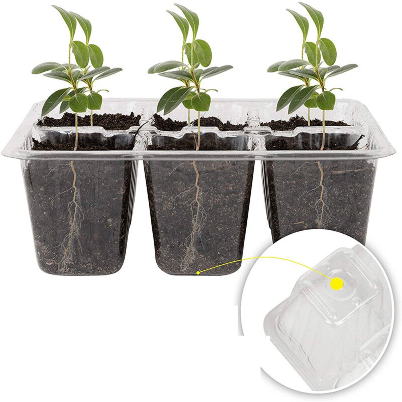 12 Compartment Germination Tra - огляд і ціна Humidity Dome Kit